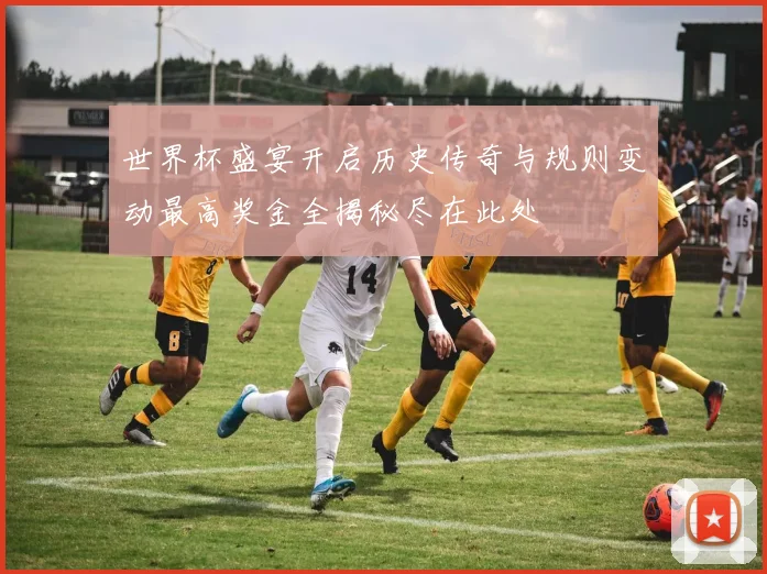 世界杯盛宴开启历史传奇与规则变动最高奖金全揭秘尽在此处