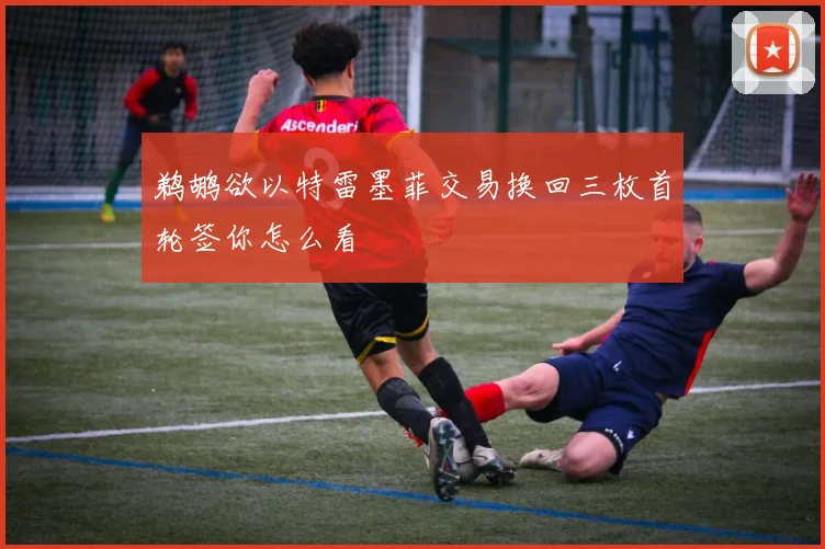 鹈鹕欲以特雷墨菲交易换回三枚首轮签你怎么看